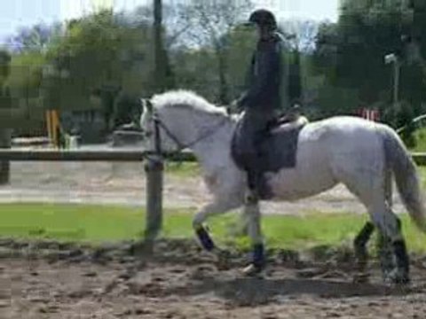 Dourred pacques 2008