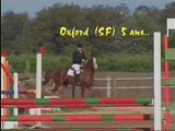 incurvation-report de poids au galop (d'Orgeix)