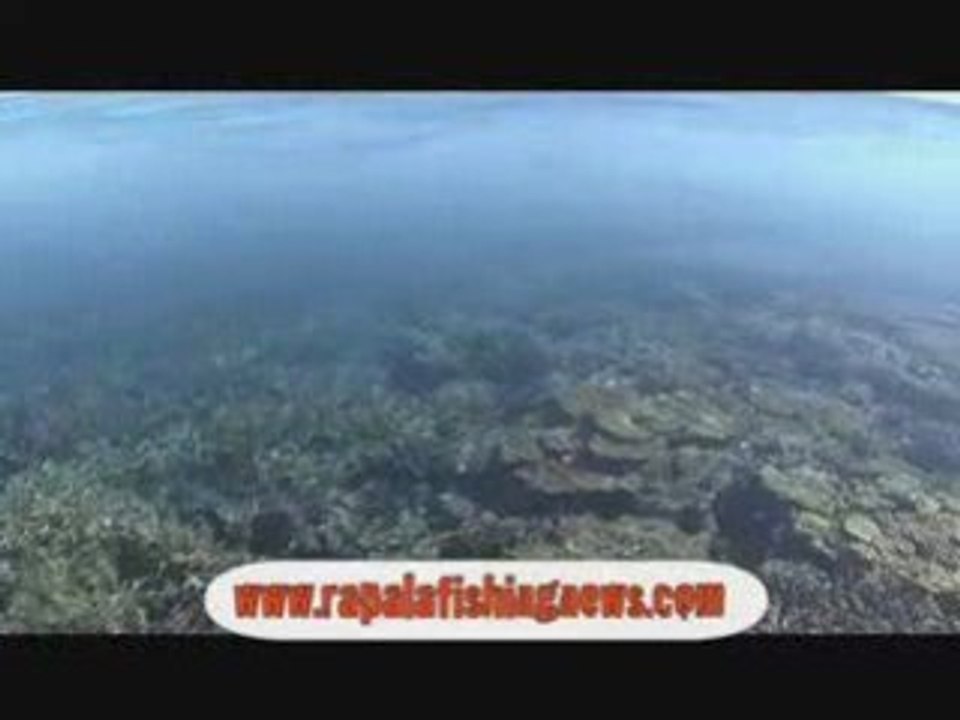 Ultimate Fishing Volume 3