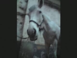 Fuentes ... Tu nous manques énormément ...