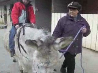 Alex et son copain Jacky (hi han)