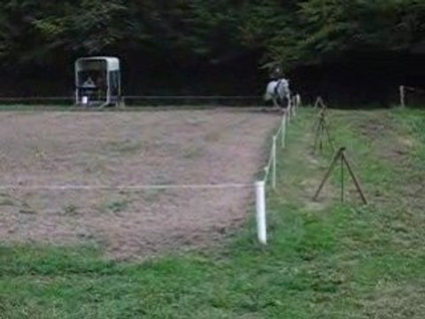 Novalis dressage CL1 cours les barres