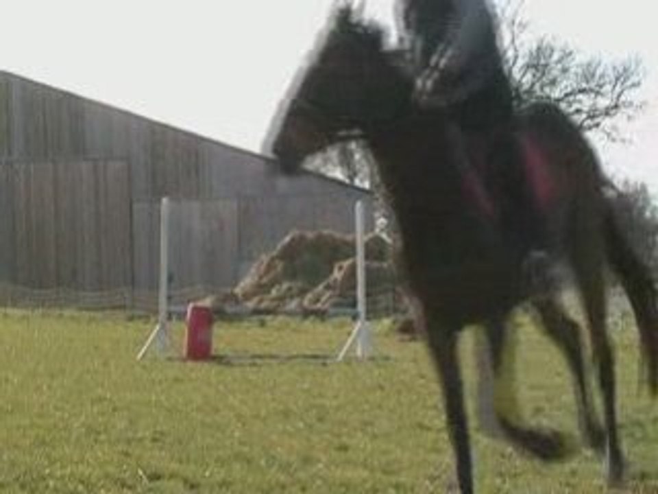 Radjah1 3.3.09