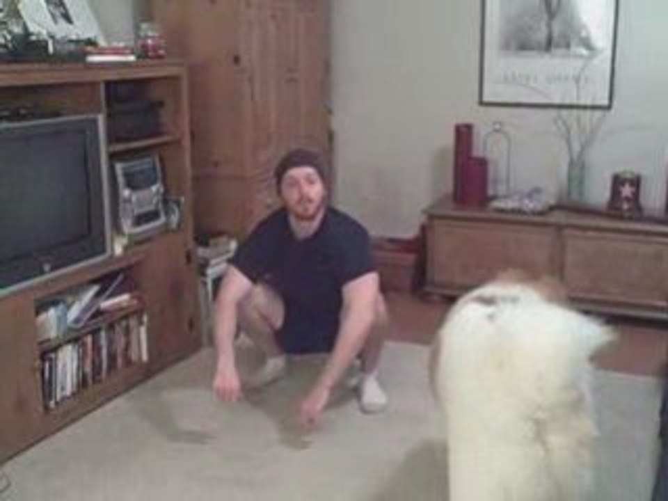 Quad Hop Burpees