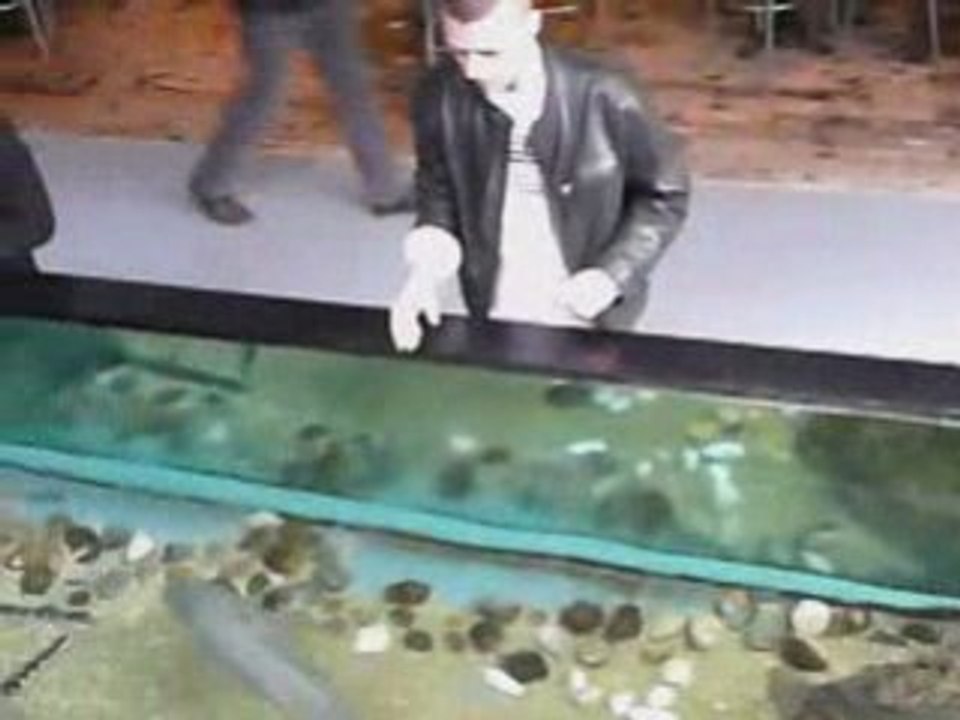 » Nausicaà [ Part 2 ]