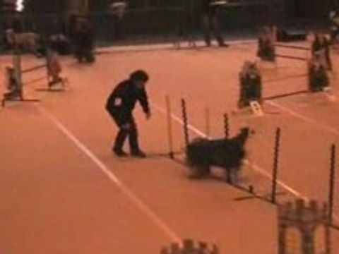 ajadh les sorinieres jumping