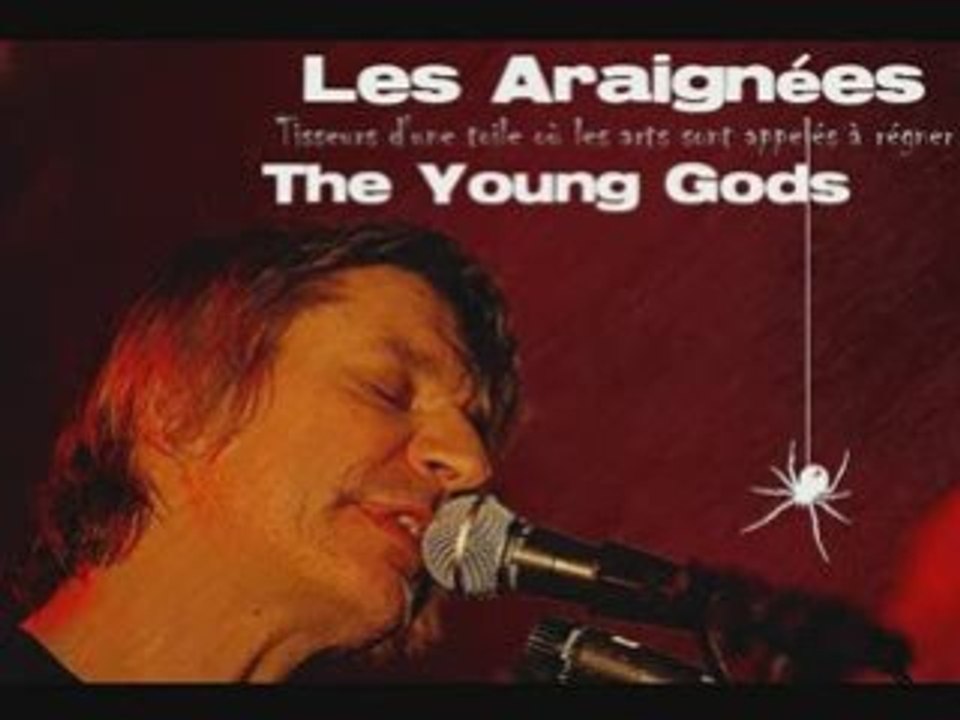 The Young Gods - Interview Les Araignées
