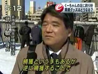 Lontra-do-mar vira atração em Kushiro