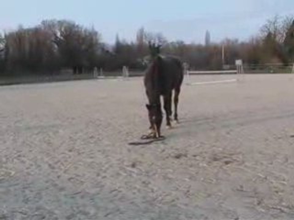 SansTitre