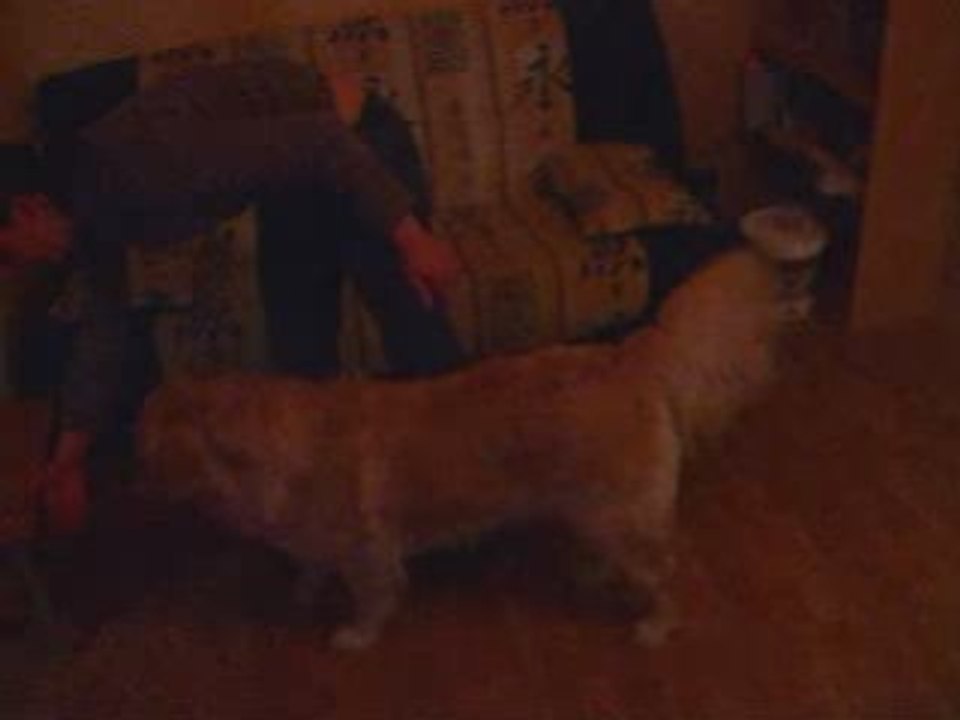Pasespagnol
