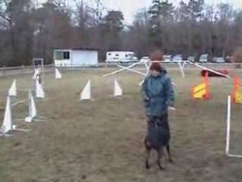 Valea agility stage