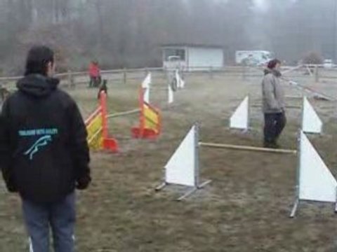 valea agility stage