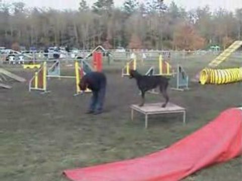 Valea agility stage