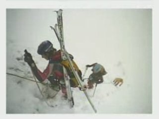 TSF MILLET 2009