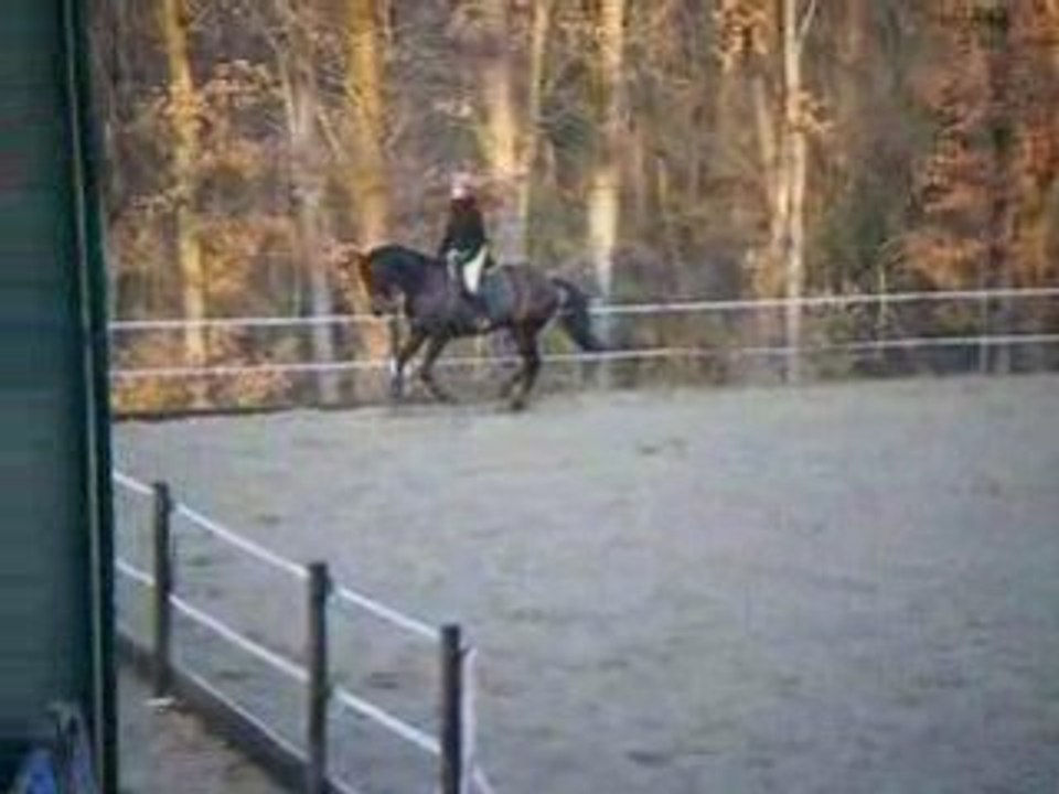 Querelle dressage galop2