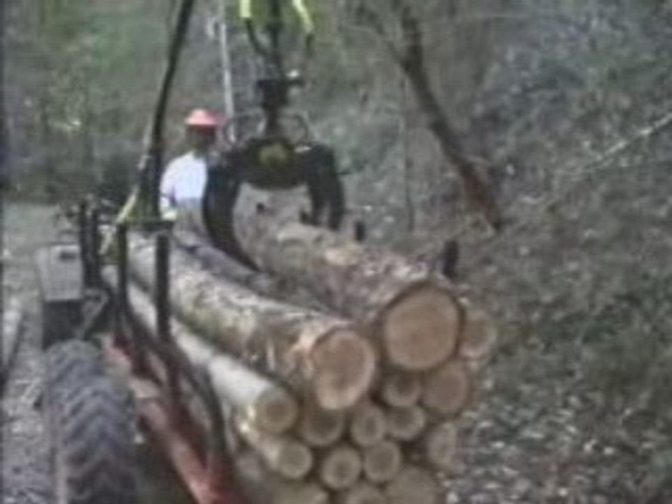 remorque chargeuse a bois pour quad