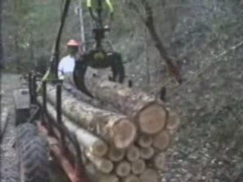 remorque chargeuse a bois pour quad