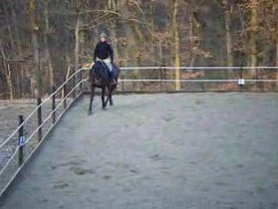 Querelle dressage trot mars/09