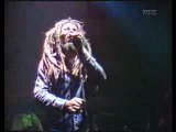 Bob Marley & The Wailers -- War_No More Trouble -- Live 1980