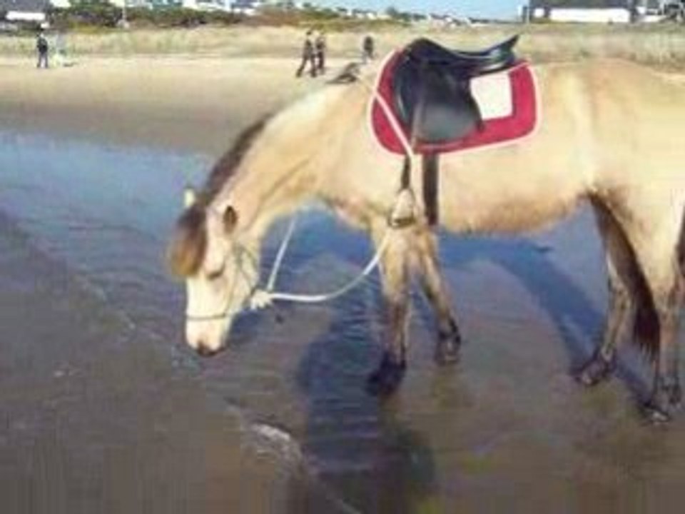 Odyssée au bord de l'eau