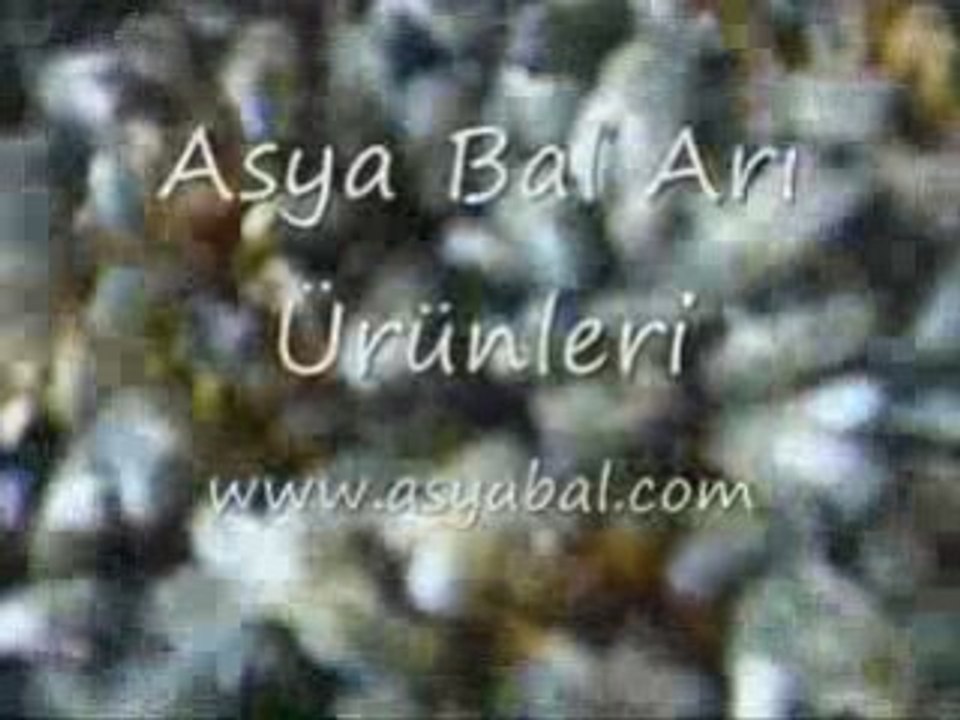 Arıların petekleri temizlemesi