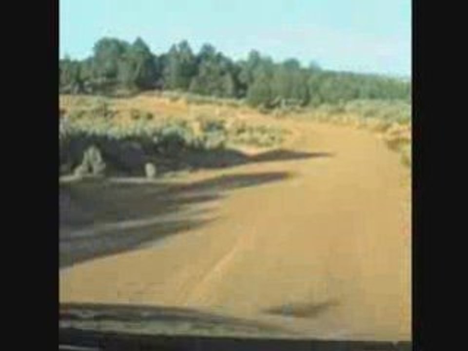 Off Roading with Bullrun Team Avalanche!