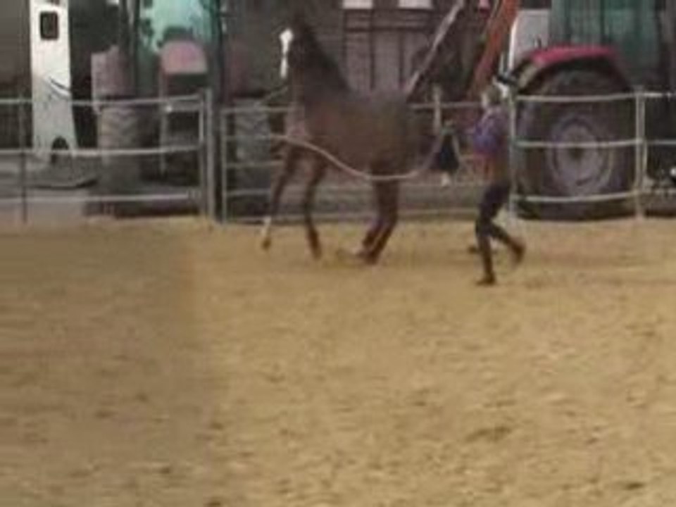 Jeux à Pied avec Hilton - Fév 09