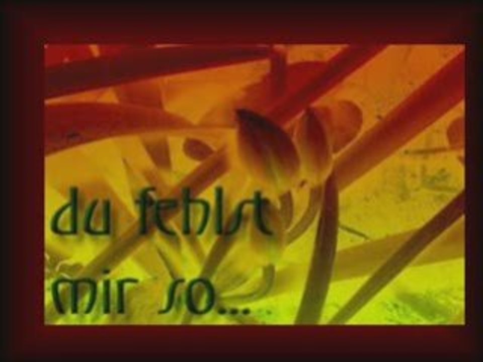 an hase der mir wichtig is