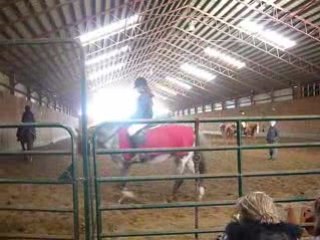 Journée à l'académie équestre anni marion 094