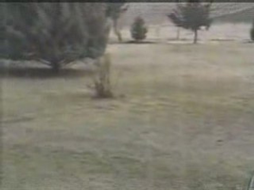 OMG!!  RABBIT & SNAKE DANCE