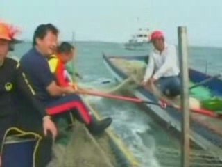 A whale Shark rescued in Taiwan