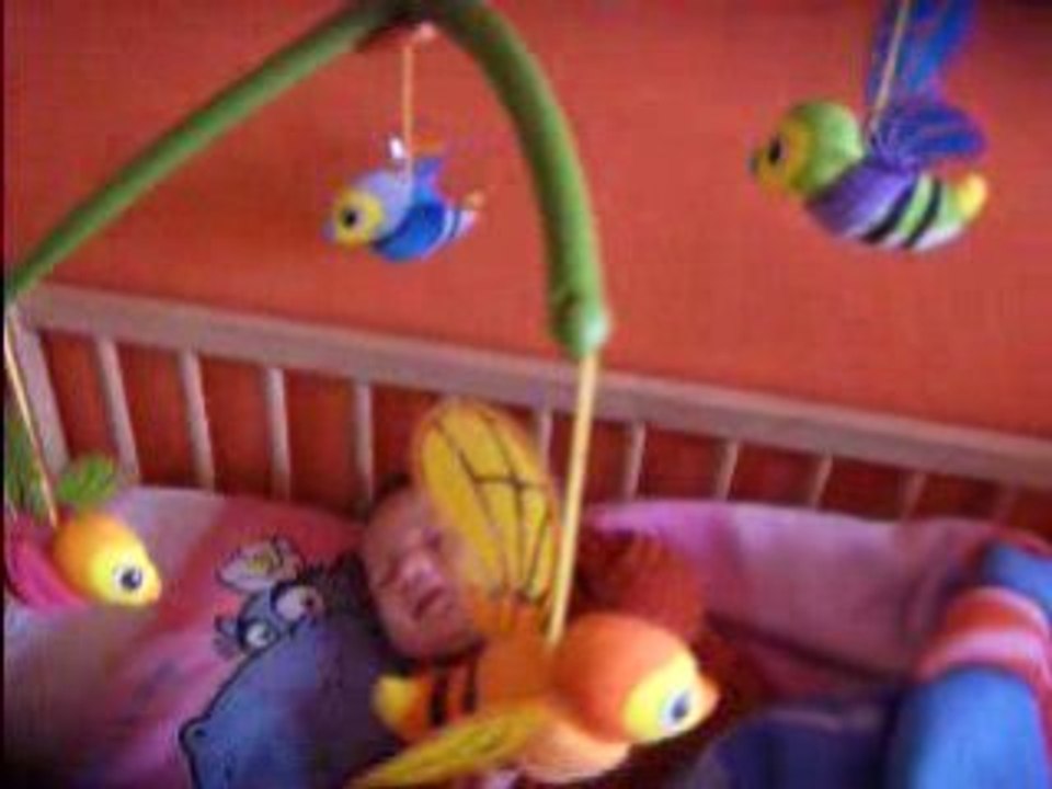 Copie (2) de HPIM4278