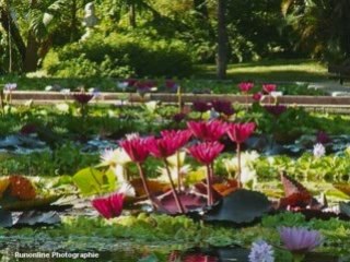 TOUT DOUCEMENT P'ETIT CRAYON DES ILES