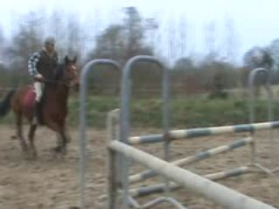 Oxer(1)