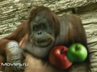 Хочу все знать №287