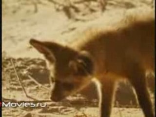 Хочу все знать №284