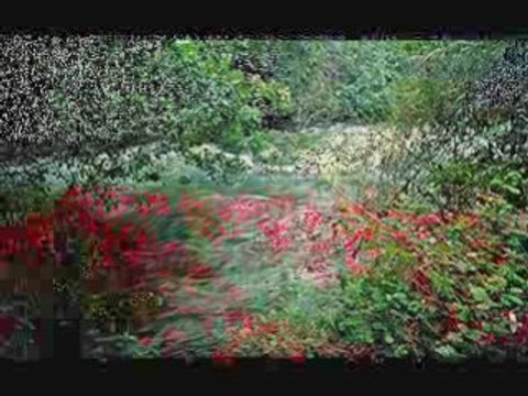 Palestine mon beau Pays