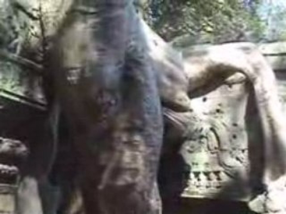 Cambodge Siem Reap Angkor 2009