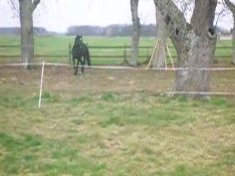 Stew joue avec Pomponne