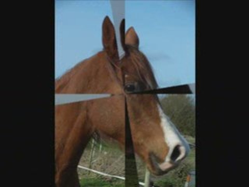 Louna jahlila hakim radja bonbon