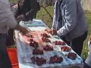 Tizi ;village kabyle