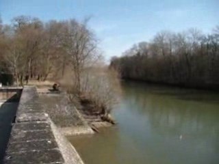 Chateau de Chenonceau 276