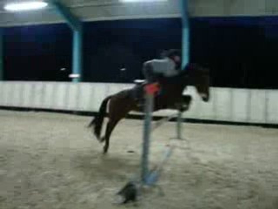 Oregon saut d'obstacle environ 1m10