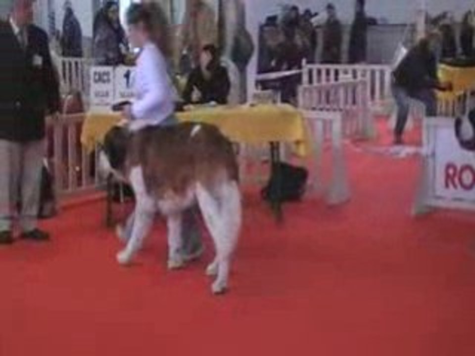 Expo montpellier 21