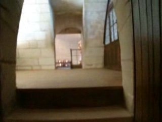 Chateau de Chenonceau 280