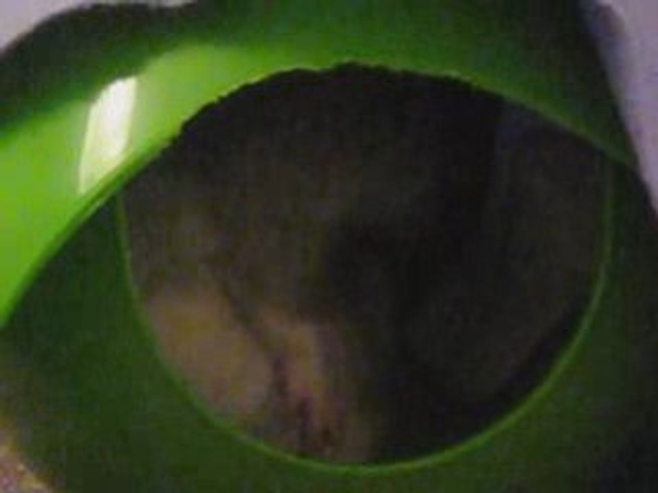 Toilette minutieuse de Khéops