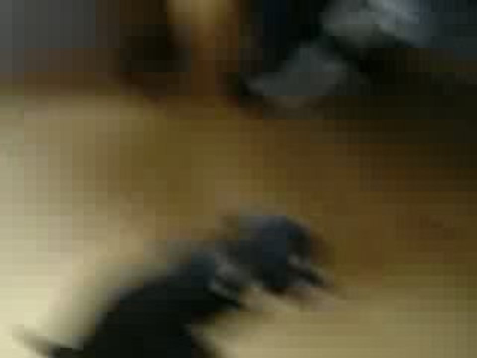HPIM4132