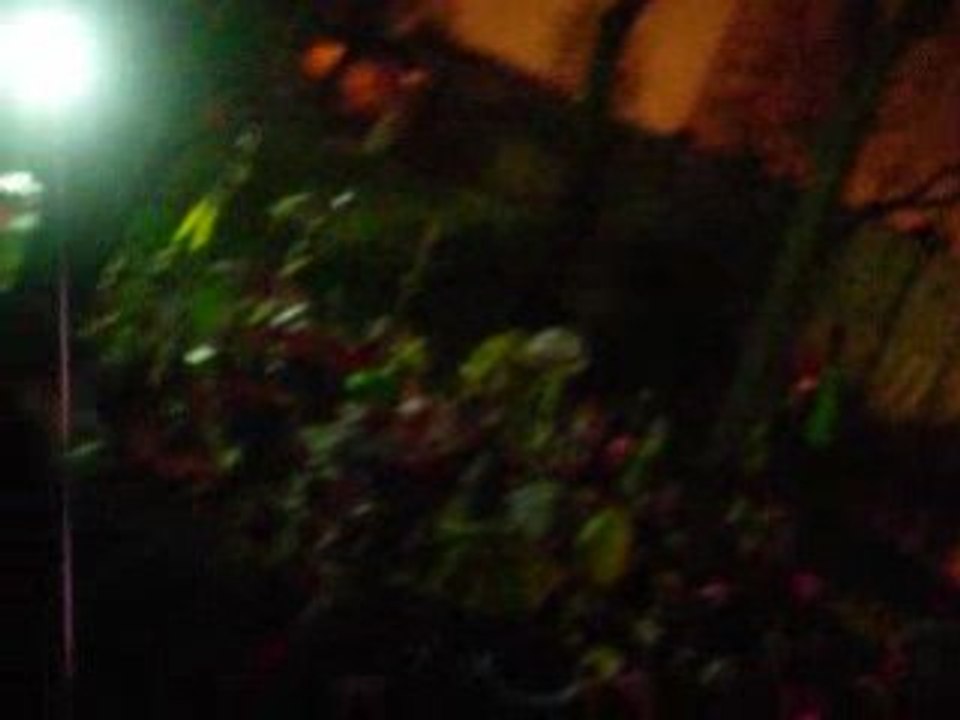 Citadelle - Après Bande