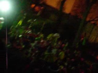 Citadelle - Après Bande