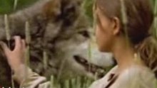 Волчье лето (Ulvesommer/Wolf Summer)
